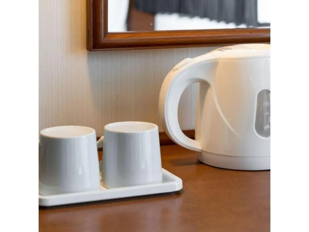 Plaza Hotel Tenjin Fukuoka  3*, Fukuoka (Fukuoka) Japan